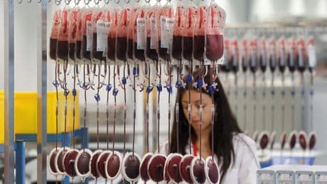 Día libre en Italia o seguro médico gratuito en Croacia: los incentivos europeos para la donación de sangre