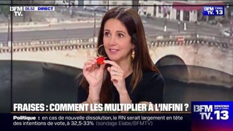 Comment bien cultiver ses fraisiers?