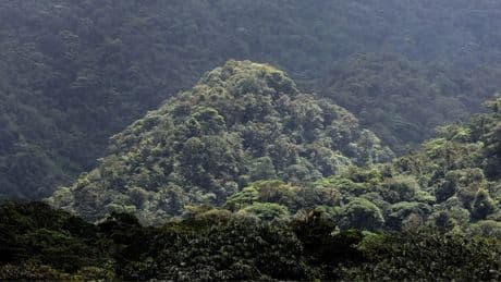 Cerro El Cono, la mystérieuse «pyramide» d'Amazonie qui intrigue les chercheurs depuis des décennies