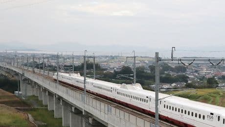 Snake halts Japan’s bullet trains after getting tangled in power lines