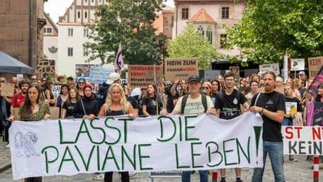 Ariane Kari hätte als Tierschutzbeauftragte viel zu tun. Leider verliert sie ihren Job - Meinung