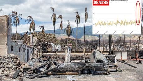 The devastating reality behind surge in deaths on popular Hawaiian island