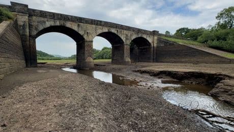 Hosepipe ban announced for parts of UK as drought takes hold