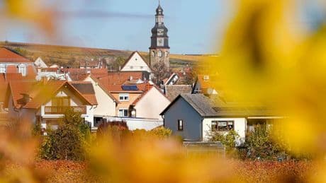 Beziehungen zu den USA: Merz will mit Trump in die Pfalz