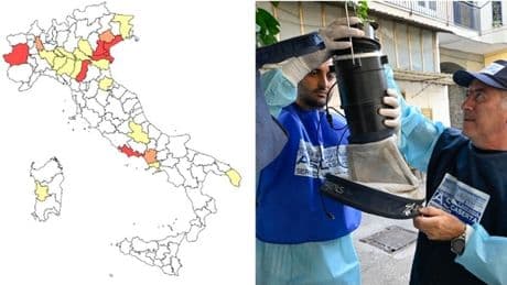 West Nile vicino Roma, aumentano i casi nel Lazio: sette nuovi contagi, due con sindrome neurologica. Quanti sono e dove