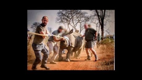 « Planet Killers », saison 2 : les trafiquants d’animaux dans le viseur