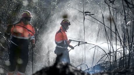 Incendio Crotone, oltre 180 persone evacuate dal villaggio turistico "Volvito": le fiamme e l'intervento dei soccorsi