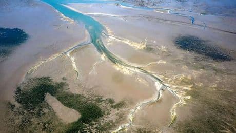 Meeresnaturschutz: Experten beraten zu Rückgang von Seegraswiesen im Wattenmeer