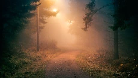 Norwegen | Thriller aus Norwegen: Rechte Emotionsbewirtschaftung