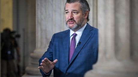 Usa: Fratellanza Musulmana nel mirino. Ted Cruz chiede la messa al bando