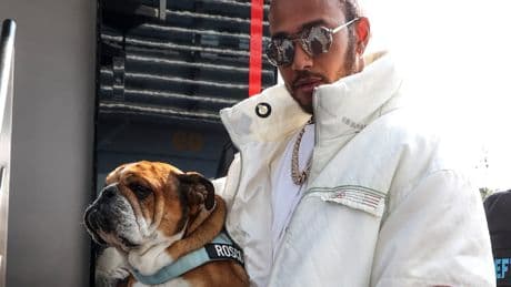 Nach Lungenentzündung - Lewis Hamilton gibt Update zu seinem Hund Roscoe