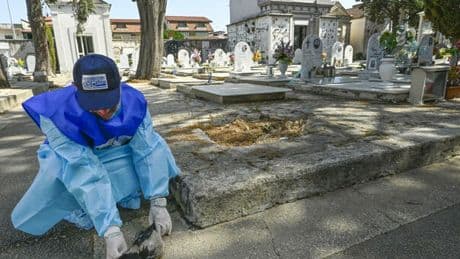 West Nile, 173 casi confermati in Italia da inizio anno. Salgono a 13 i morti