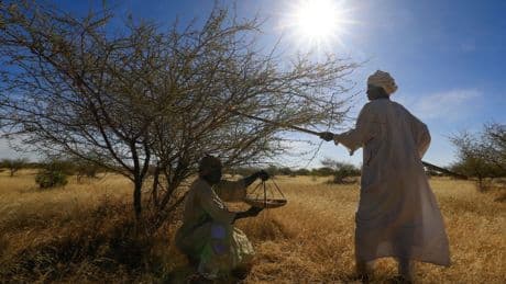 Sudan, Congo, and You