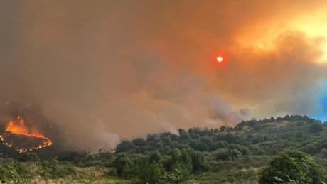 España arde: el incendio en Ávila avanza sin control tras calcinar casi 600 hectáreas y preocupa el fuego en Cáceres