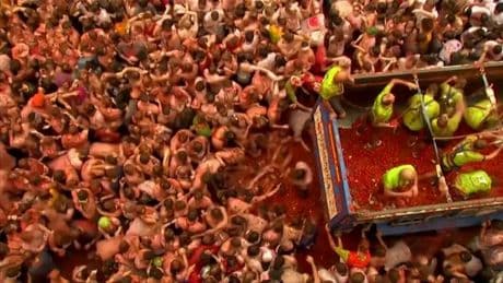 Buñol se prepara para su icónica batalla del verano: "La munición está garantizada y es de gran calidad"