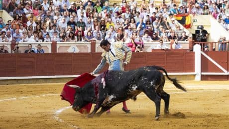 La verdad del toreo de Uceda Leal y Fortes cala en Cuenca