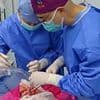 Scientists transplant a PIG lung into a human in world-first op: Organ remains viable for 9 days - paving the way for cross-species transplantation
