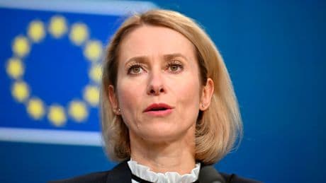 EU-Chefdiplomatin warnt vor Putins Taktik - „Diese Situation erinnert an 1938“