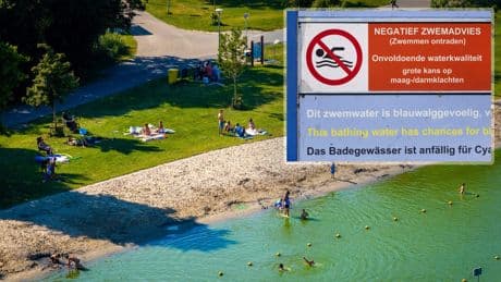 Tropische temperaturen doping voor de blauwalg: ’Kijk uit waar je het water in plonst’