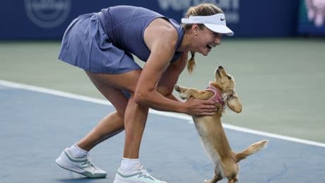 ‘So adorable’ – Pet dog runs on court to celebrate as Emma Raducanu is beaten by Anna Kalinskaya in Washington