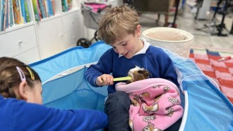 We’ve discovered the perfect family pet – it’s made my children more obedient