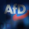 "Finde ich unerträglich": Innenminister wollen AfD-Finanzierung prüfen