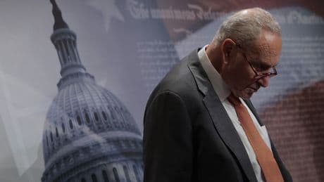 Democrats can’t save democracy by shutting down the government