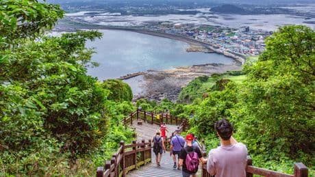 Trop d’incivilités : sur l’île de Jeju, en Corée du Sud, les touristes doivent respecter un guide de bonne conduite