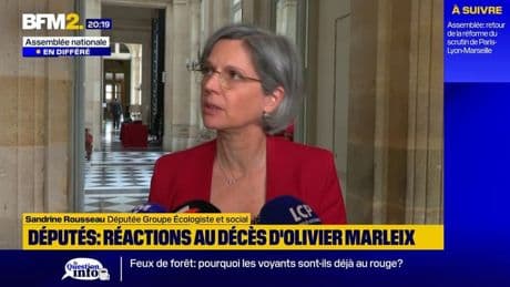 "L'annonce de sa mort est un choc terrible", déplore Sandrine Rousseau après la mort d'Olivier Marleix, député LR