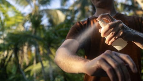Insektensprays: Warum Sie diese niemals im Hausmüll entsorgen sollten
