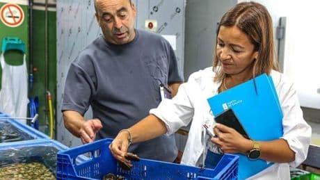 Galicia planea fijar una delegación en Bruselas para hacer 'lobby' en la pesca