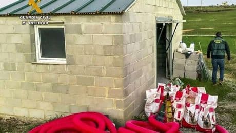 Condenado a un año de cárcel por matar a 29 perros en Cantabria