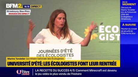 "Des responsables politiques profondément irresponsables": Marine Tondelier tacle le gouvernement à Strasbourg