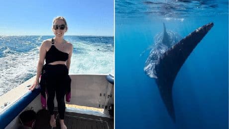 Forget the Great Barrier — I had the swim of a lifetime at Australia’s lesser known reef