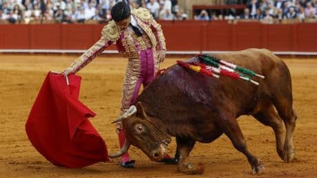 Pablo y Diego alegran a Curro: la maravilla de Aguado en Sevilla