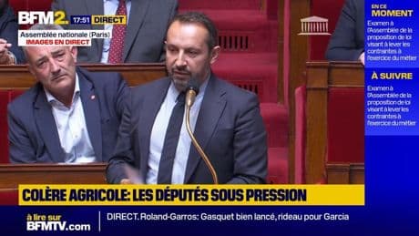 Loi agricole Duplomb: Sébastien Chenu dénonce "la technique du pourrissement" de LFI