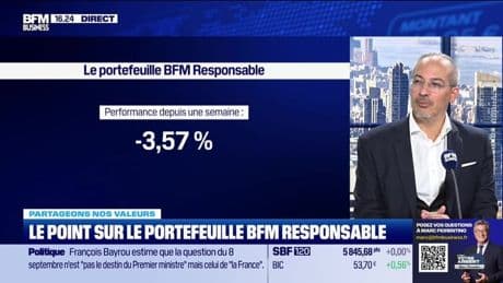 Le portefeuille "BFM-Responsable" : "Seb en souffrance, sa survie dans le portefeuille en question" - 01/09
