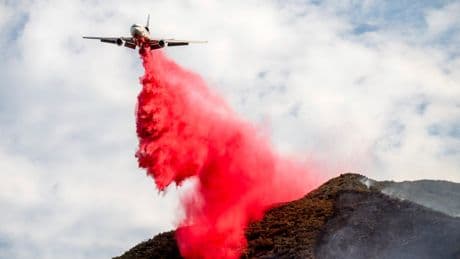 Massive central California wildfire keeps growing and becomes state's largest blaze of the year