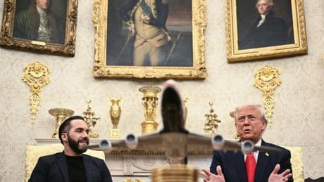Nayib Bukele et Donald Trump, une bonne relation essentielle pour le Salvador