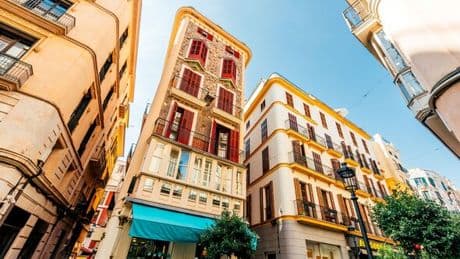 Majorca hotel boss says tourist apartments should be ‘eliminated’ in blow to holidaymakers