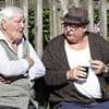 I'm a Romany gypsy and I'm sick of non-traveller wannabees mixing with our people - but here's what is REALLY killing our race in Britain