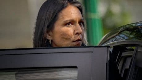 Tulsi Gabbard demanding access to intel agency emails to find spies working to undermine the Trump agenda: report
