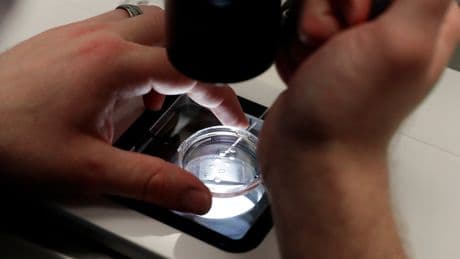 White House says Trump is reviewing IVF policy recommendations promised in executive order
