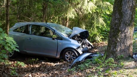 Tödlicher Unfall im Wald - Mann (57) stirbt bei Baum-Crash