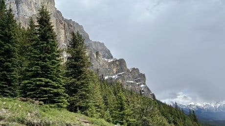 Dogs, crews and helicopters deployed to find missing B.C. hiker in Banff