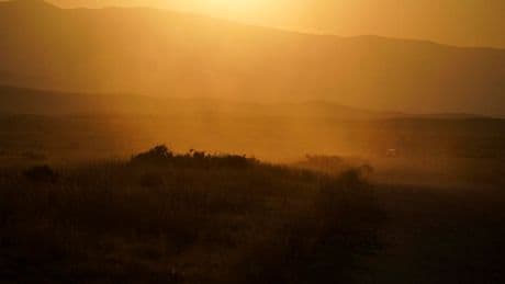 Valley Fever Cases Surge To Record Levels In California
