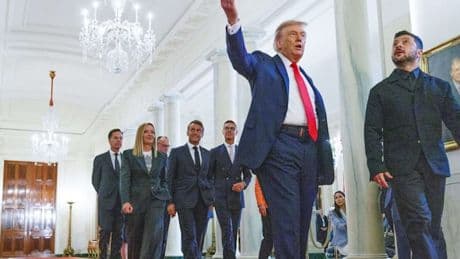 „Das ist eigentlich niederschmetternd, diese ganze Show“