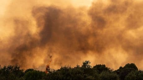 70 deutsche Einsatzkräfte im Kampf gegen Waldbrände in Spanien