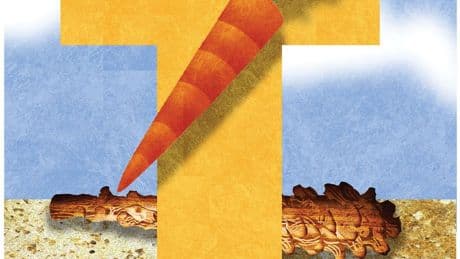 Trump torches neocon elite in the Middle East