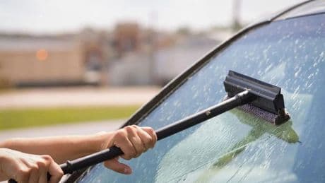Combate los insectos y el polen: Guía para limpiar las manchas del coche